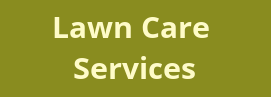 Lawn Care Servicesgreen